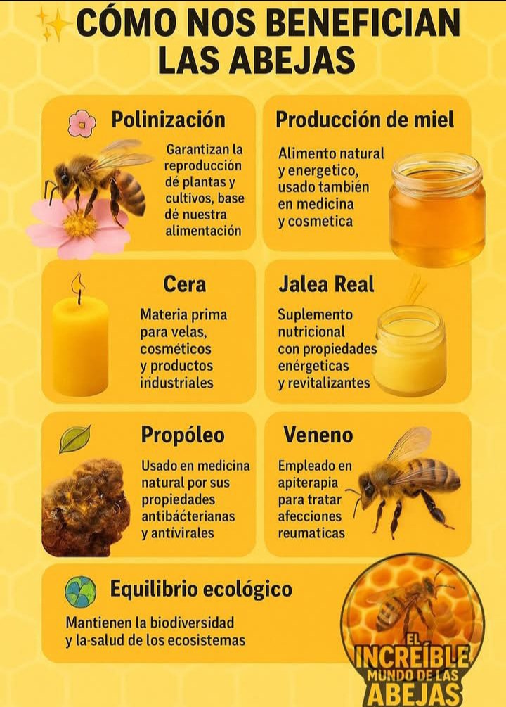 Apicultura y biodiversidad
