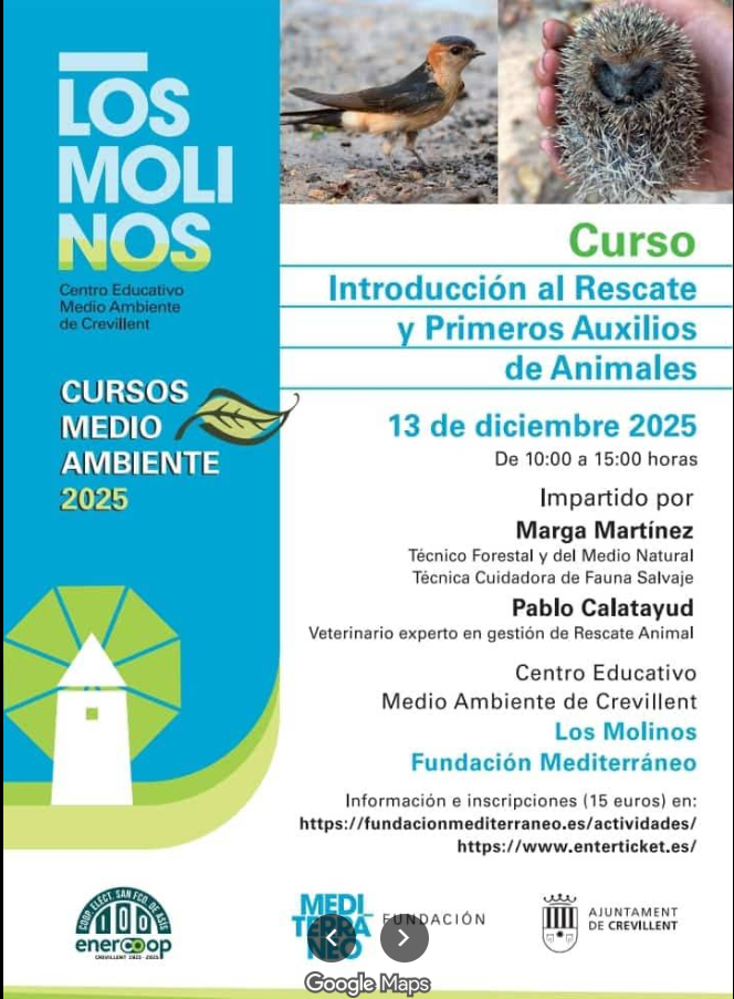 Talleres y actividades