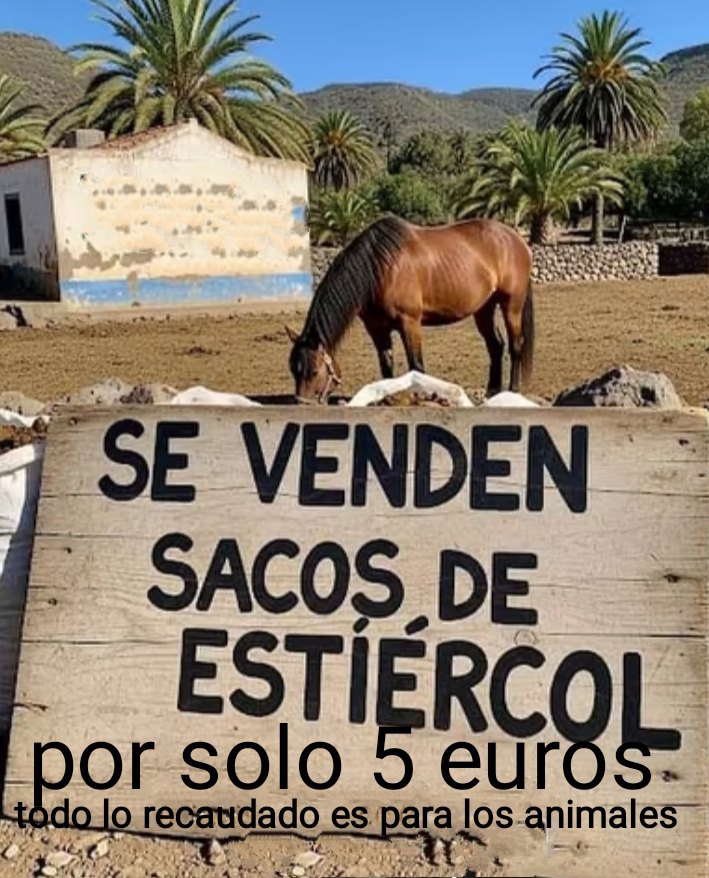 Huerto